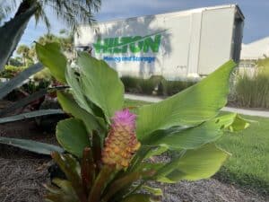 Naples Receiving and Delivery, Naples Receiving Services, Designer Receiving and Delivery, Commercial Receiving, Naples Movers, Naples Moving Companies, Naples Moving and Storage, Moving Companies, Movers, Moving, Movers Near Me, Best Naples Moving Companies, Local Movers, Marco Island Movers, Marco Island Moving Companies, Marco Island Moving and Storage, Best Marco Island Moving Companies, Bonita Springs Movers, Bonita Springs Moving Companies, Bonita Springs Moving and Storage, Best Bonita Springs Moving Companies, Wine Storage